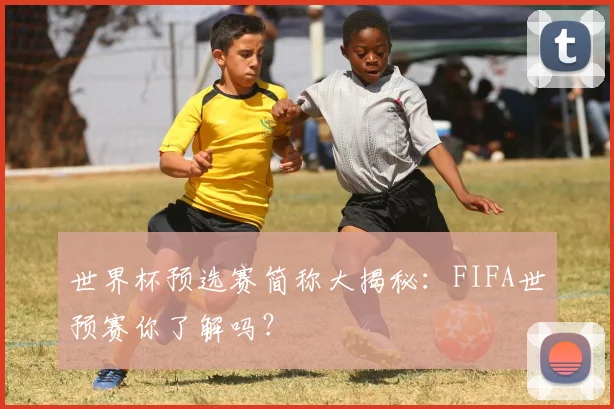 世界杯预选赛简称大揭秘：FIFA世预赛你了解吗？