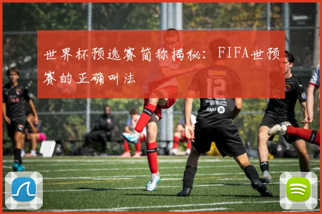 世界杯预选赛简称揭秘：FIFA世预赛的正确叫法