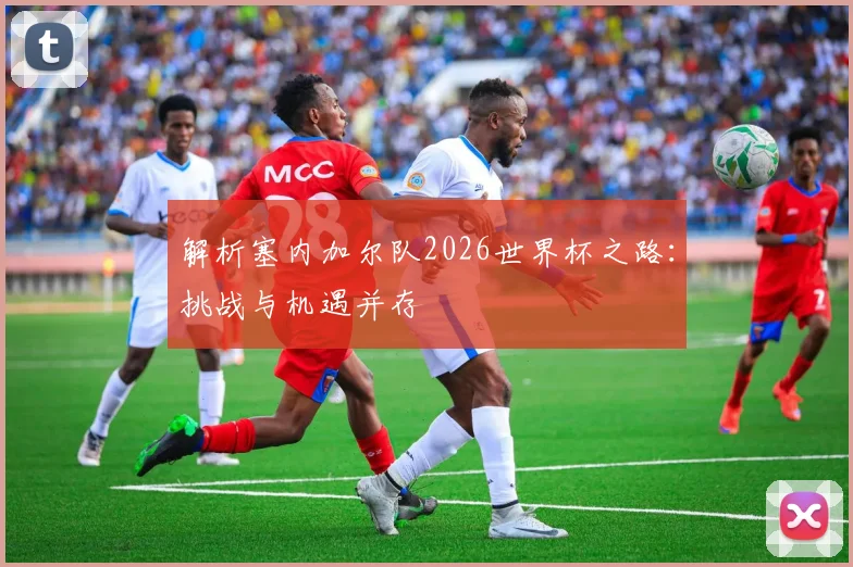 解析塞内加尔队2026世界杯之路:挑战与机遇并存